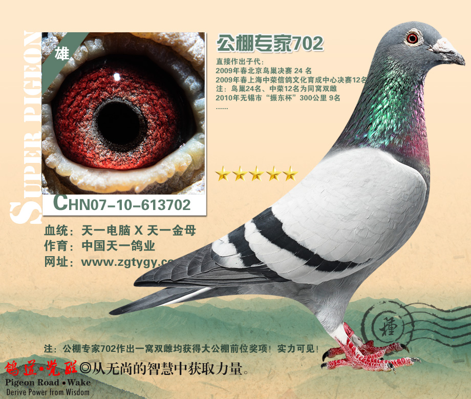 中国天一鸽业---公棚专家702