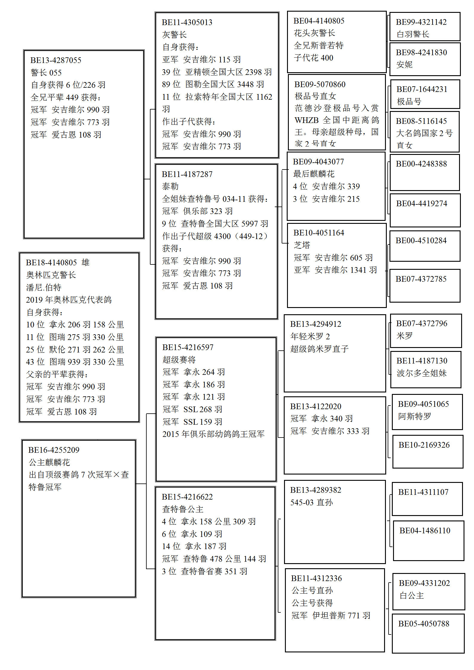 好鸽寻缘:2019年奥林匹克标准鸽