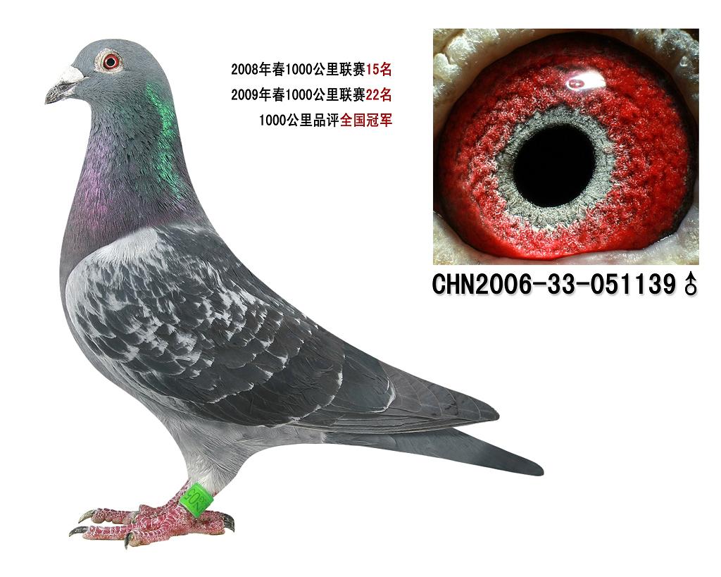 1000公里品评全国冠军